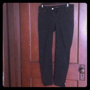 Black skimmer pant